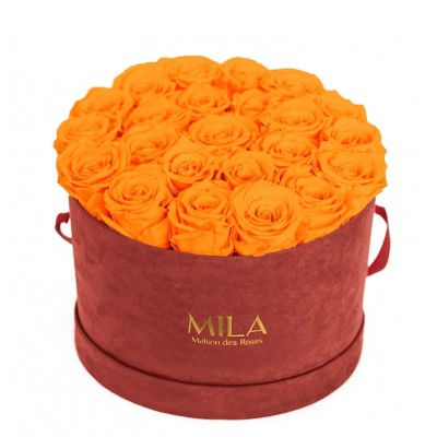 Produit Mila-Roses-00935 Mila Burgundy Velvet Large - Orange Bloom