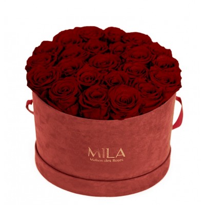 Produit Mila-Roses-00936 Mila Burgundy Velvet Large - Rubis Rouge