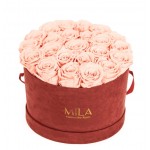  Mila-Roses-00938 Mila Burgundy Velvet Large - Pure Peach