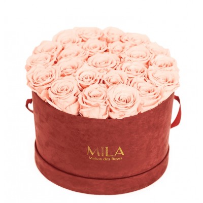 Produit Mila-Roses-00938 Mila Burgundy Velvet Large - Pure Peach