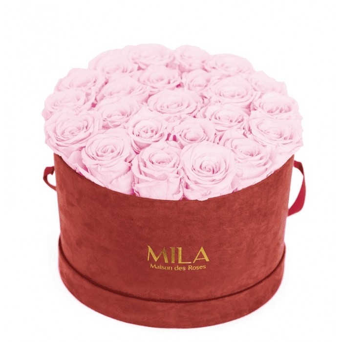Mila Burgundy Velvet Large - Pink Blush