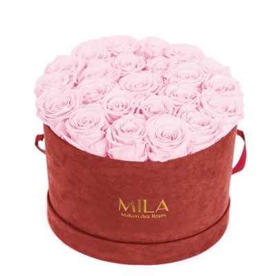 Produit Mila-Roses-00939 Mila Burgundy Velvet Large - Pink Blush