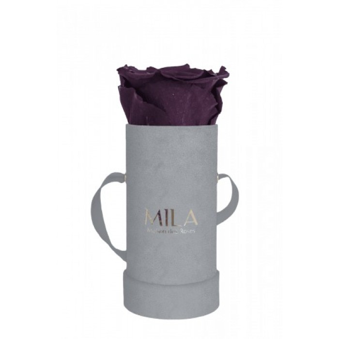 Mila Velvet Baby Light Grey Velvet Baby - Velvet purple