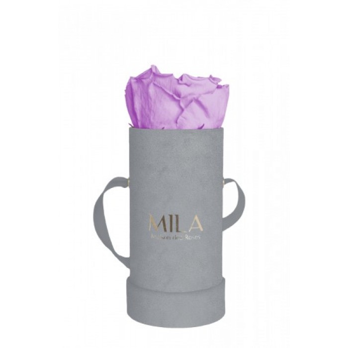 Mila Velvet Baby Light Grey Velvet Baby - Lavender