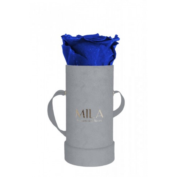 Mila Velvet Baby Light Grey Velvet Baby - Royal blue