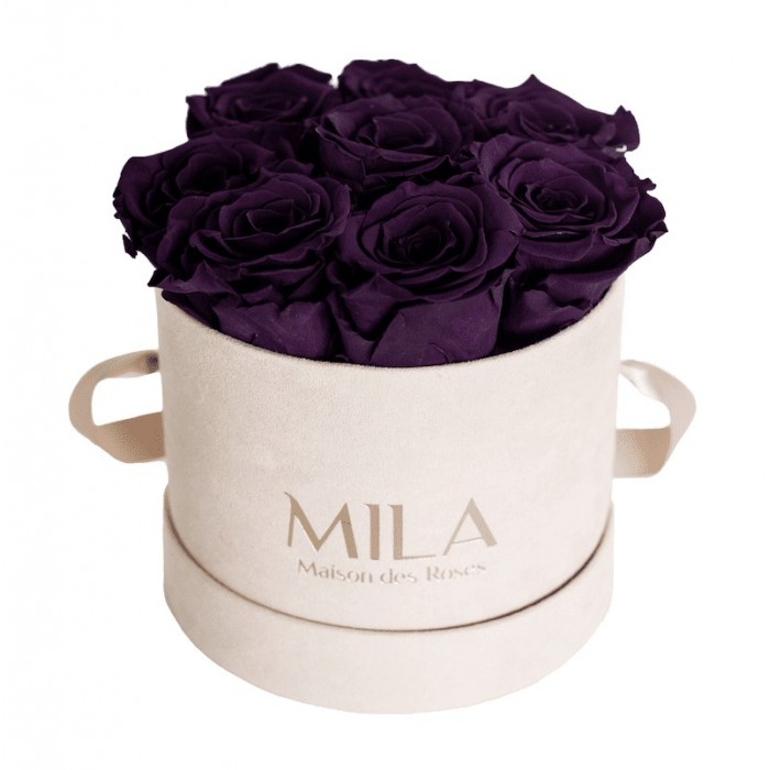 Mila Velvet Small Nude Velvet Small - Velvet purple