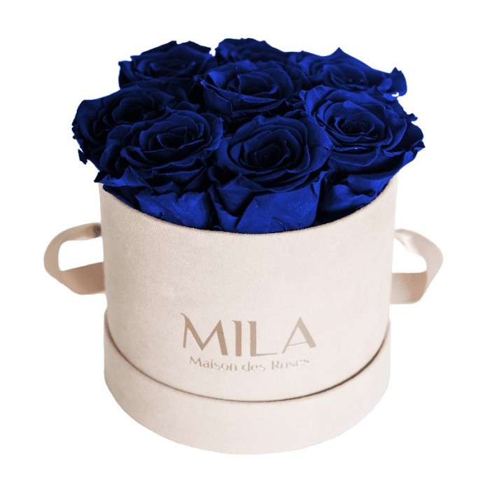 Mila Velvet Small Nude Velvet Small - Royal blue