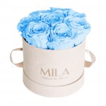  Mila-Roses-00977 Mila Velvet Small Nude Velvet Small - Baby blue