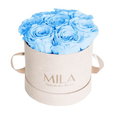 Produit Mila-Roses-00977 Mila Velvet Small Nude Velvet Small - Baby blue