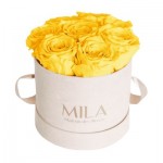  Mila-Roses-00978 Mila Velvet Small Nude Velvet Small - Yellow Sunshine