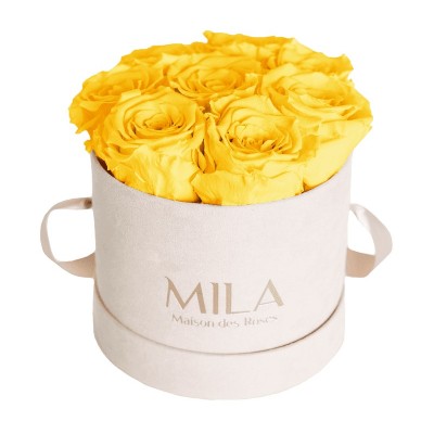 Produit Mila-Roses-00978 Mila Velvet Small Nude Velvet Small - Yellow Sunshine