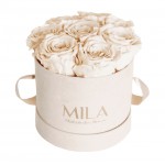  Mila-Roses-00982 Mila Velvet Small Nude Velvet Small - Champagne