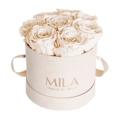 Produit Mila-Roses-00982 Mila Velvet Small Nude Velvet Small - Champagne