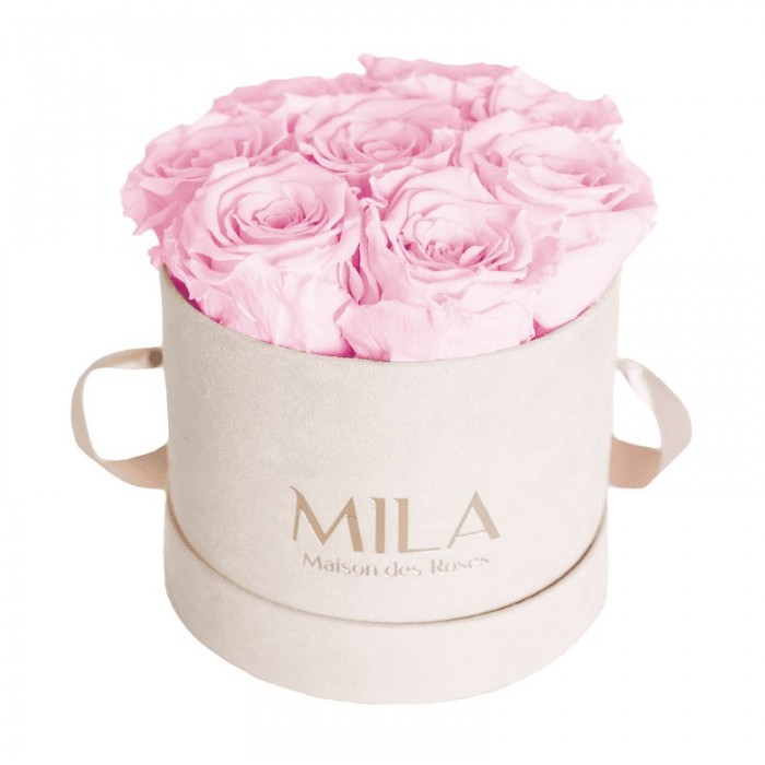 Mila Velvet Small Nude Velvet Small - Pink Blush