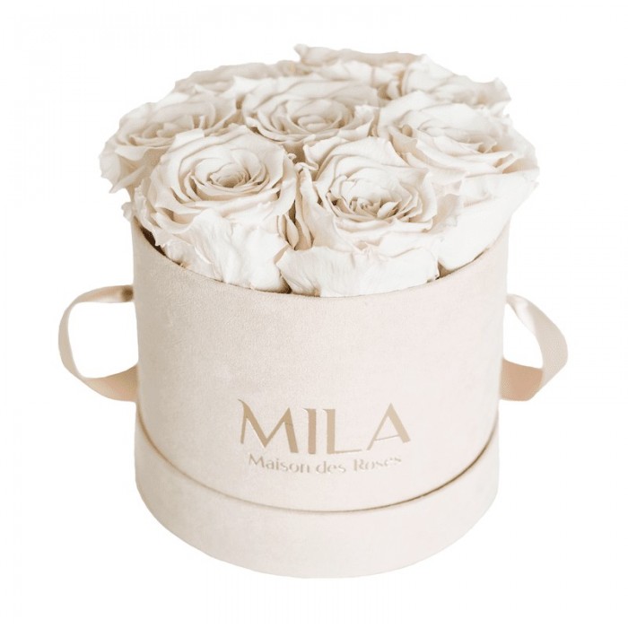 Mila Velvet Small Nude Velvet Small - White Cream