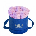  Mila-Roses-00991 Mila Velvet Small Royal Blue Velvet Small - Vintage rose