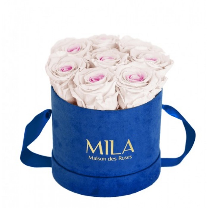 Mila Velvet Small Royal Blue Velvet Small - Pink bottom