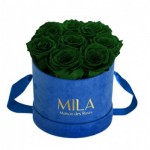  Mila-Roses-00993 Mila Velvet Small Royal Blue Velvet Small - Emeraude