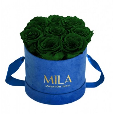 Produit Mila-Roses-00993 Mila Velvet Small Royal Blue Velvet Small - Emeraude