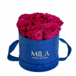  Mila-Roses-00994 Mila Velvet Small Royal Blue Velvet Small - Fuchsia