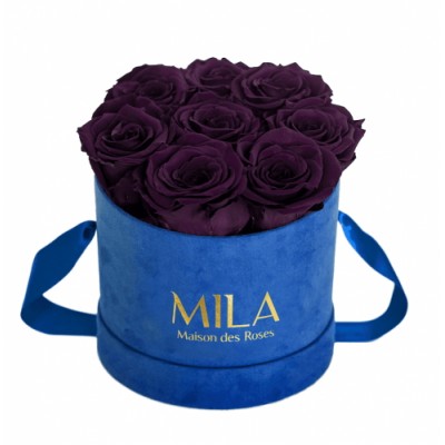 Produit Mila-Roses-00995 Mila Velvet Small Royal Blue Velvet Small - Velvet purple