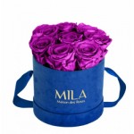  Mila-Roses-00996 Mila Velvet Small Royal Blue Velvet Small - Violin