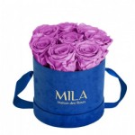  Mila-Roses-00997 Mila Velvet Small Royal Blue Velvet Small - Mauve