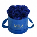  Mila-Roses-00999 Mila Velvet Small Royal Blue Velvet Small - Royal blue