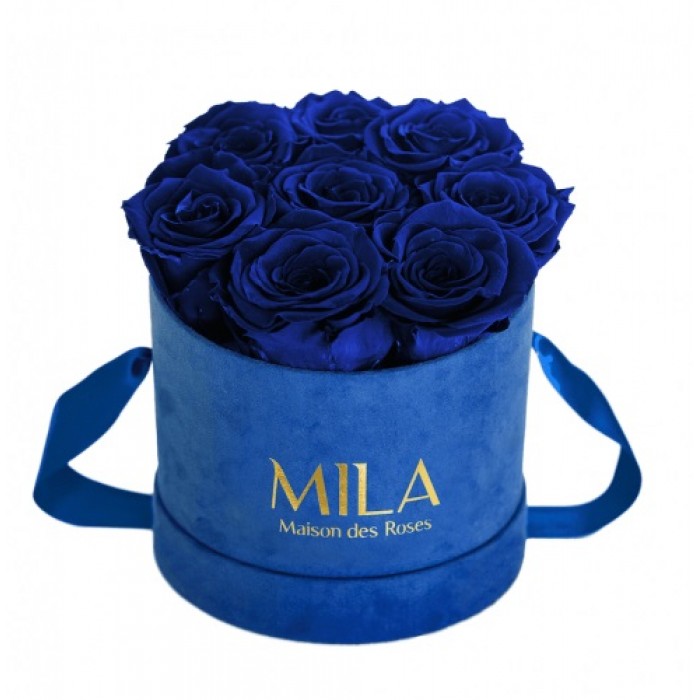 Mila Velvet Small Royal Blue Velvet Small - Royal blue