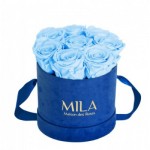  Mila-Roses-01001 Mila Velvet Small Royal Blue Velvet Small - Baby blue