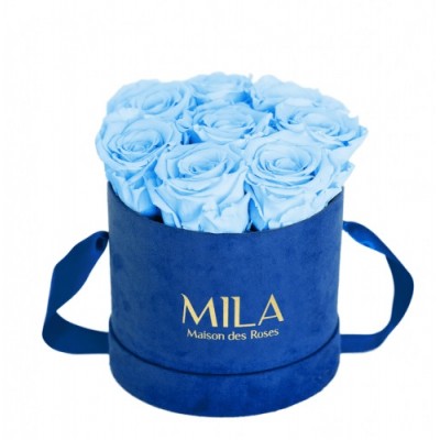Produit Mila-Roses-01001 Mila Velvet Small Royal Blue Velvet Small - Baby blue
