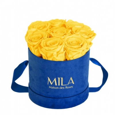 Produit Mila-Roses-01002 Mila Velvet Small Royal Blue Velvet Small - Yellow Sunshine