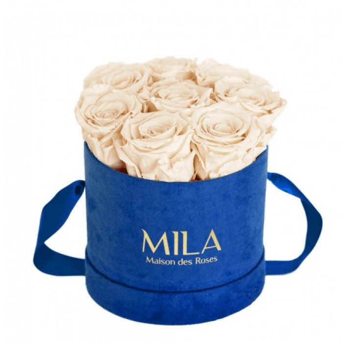 Mila Velvet Small Royal Blue Velvet Small - Champagne