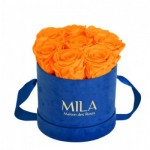  Mila-Roses-01007 Mila Velvet Small Royal Blue Velvet Small - Orange Bloom