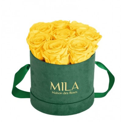 Produit Mila-Roses-01026 Mila Velvet Small Emeraude Velvet Small - Yellow Sunshine