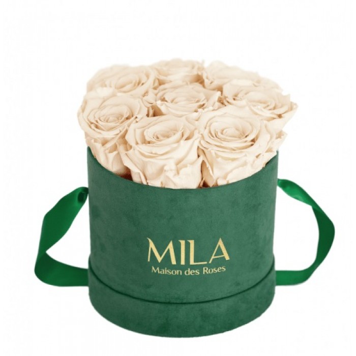 Mila Velvet Small Emeraude Velvet Small - Champagne