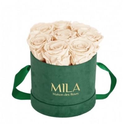 Produit Mila-Roses-01030 Mila Velvet Small Emeraude Velvet Small - Champagne