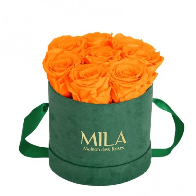 Produit Mila-Roses-01031 Mila Velvet Small Emeraude Velvet Small - Orange Bloom