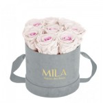  Mila-Roses-01040 Mila Velvet Small Light Grey Velvet Small - Pink bottom