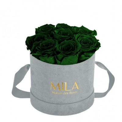 Produit Mila-Roses-01041 Mila Velvet Small Light Grey Velvet Small - Emeraude