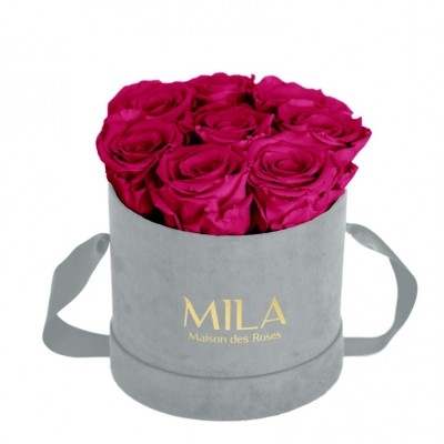 Produit Mila-Roses-01042 Mila Velvet Small Light Grey Velvet Small - Fuchsia