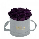  Mila-Roses-01043 Mila Velvet Small Light Grey Velvet Small - Velvet purple