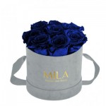  Mila-Roses-01047 Mila Velvet Small Light Grey Velvet Small - Royal blue