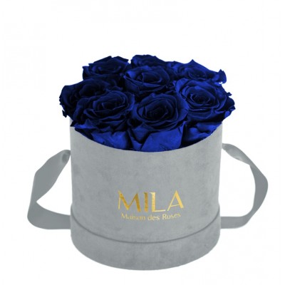 Produit Mila-Roses-01047 Mila Velvet Small Light Grey Velvet Small - Royal blue