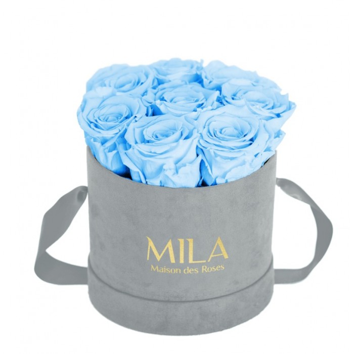 Mila Velvet Small Light Grey Velvet Small - Baby blue