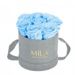  Mila-Roses-01049 Mila Velvet Small Light Grey Velvet Small - Baby blue