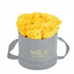  Mila-Roses-01050 Mila Velvet Small Light Grey Velvet Small - Yellow Sunshine