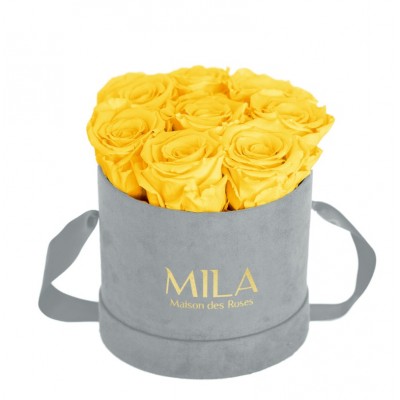 Produit Mila-Roses-01050 Mila Velvet Small Light Grey Velvet Small - Yellow Sunshine