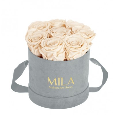 Produit Mila-Roses-01054 Mila Velvet Small Light Grey Velvet Small - Champagne