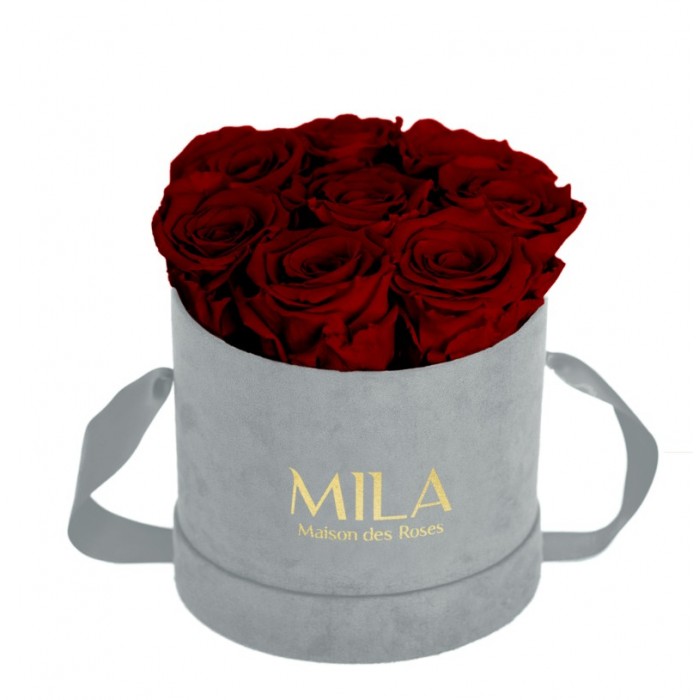 Mila Velvet Small Light Grey Velvet Small - Rubis Rouge